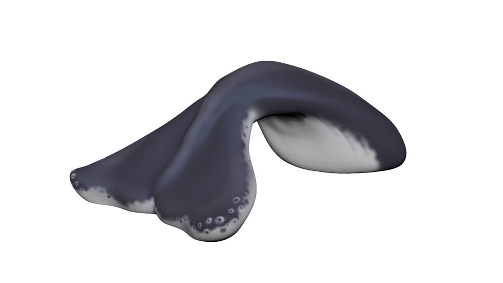 A vibrant blue aquatic tail tunnel climber for children aged 2-12, made from GFRP material.